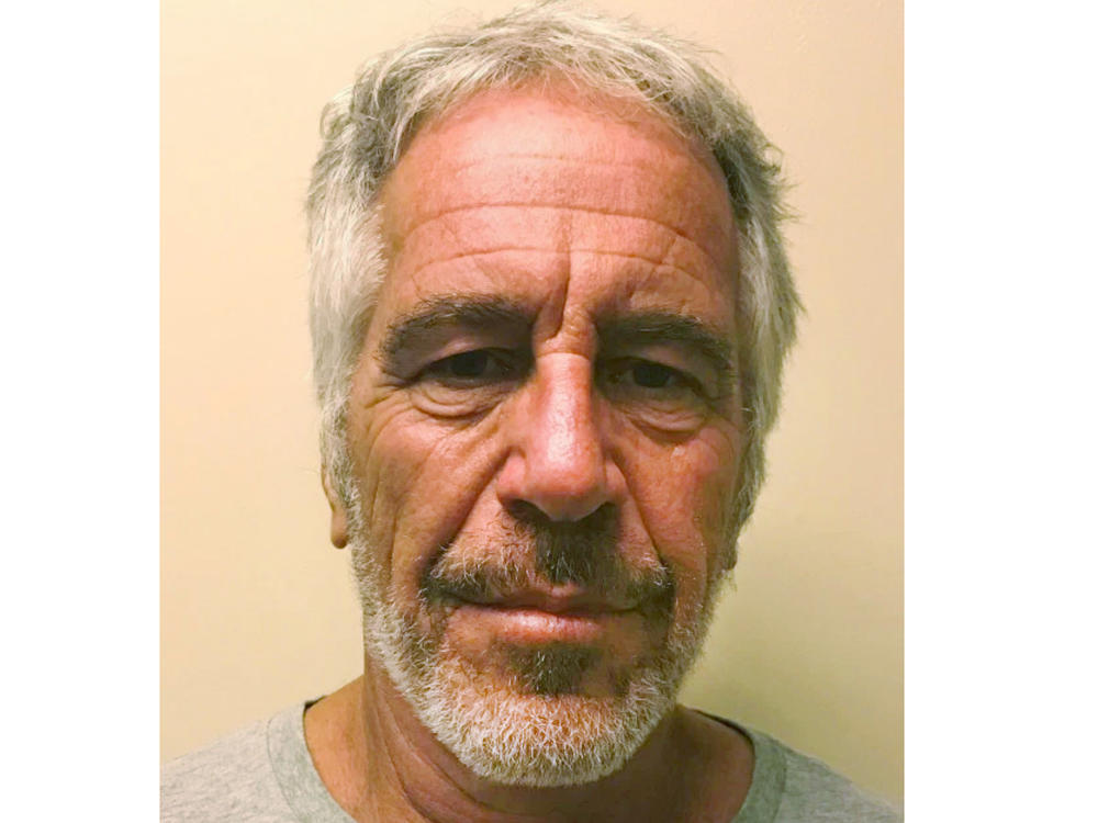 This March 28, 2017, image provided by the New York State Sex Offender Registry shows Jeffrey Epstein.