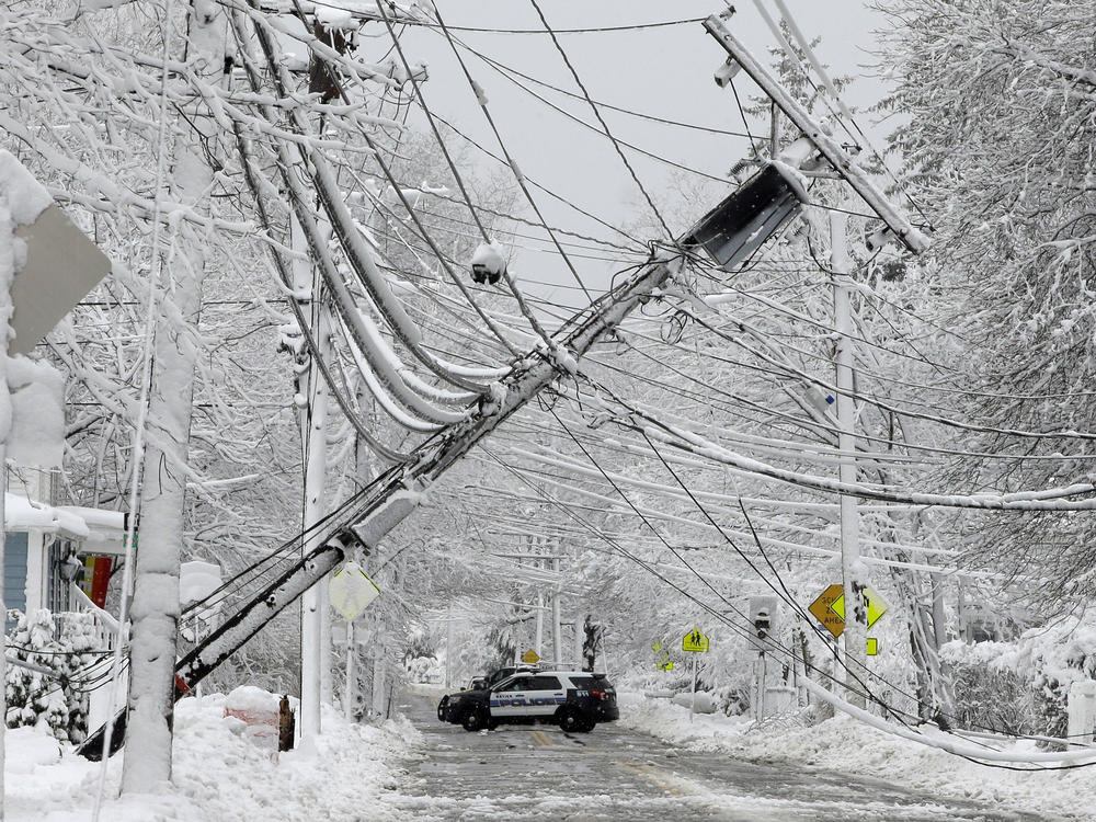 To prepare for a potential power outage, make sure you have backup power sources and an emergency plan in the event of a prolonged blackout, say experts.