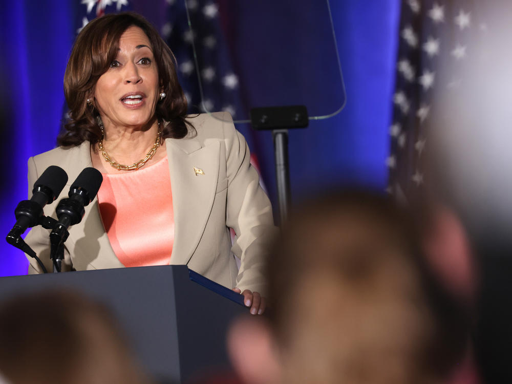 In June, Vice President Harris marked National Gun Violence Awareness Day with an event at a Virginia high school. In the run-up to November, Harris is trying to drum up support from young voters.