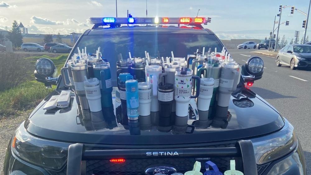 Police in Roseville, California, say a woman has been arrested and charged with grand theft after she allegedly stole $2,500 worth of Stanley drinkware.