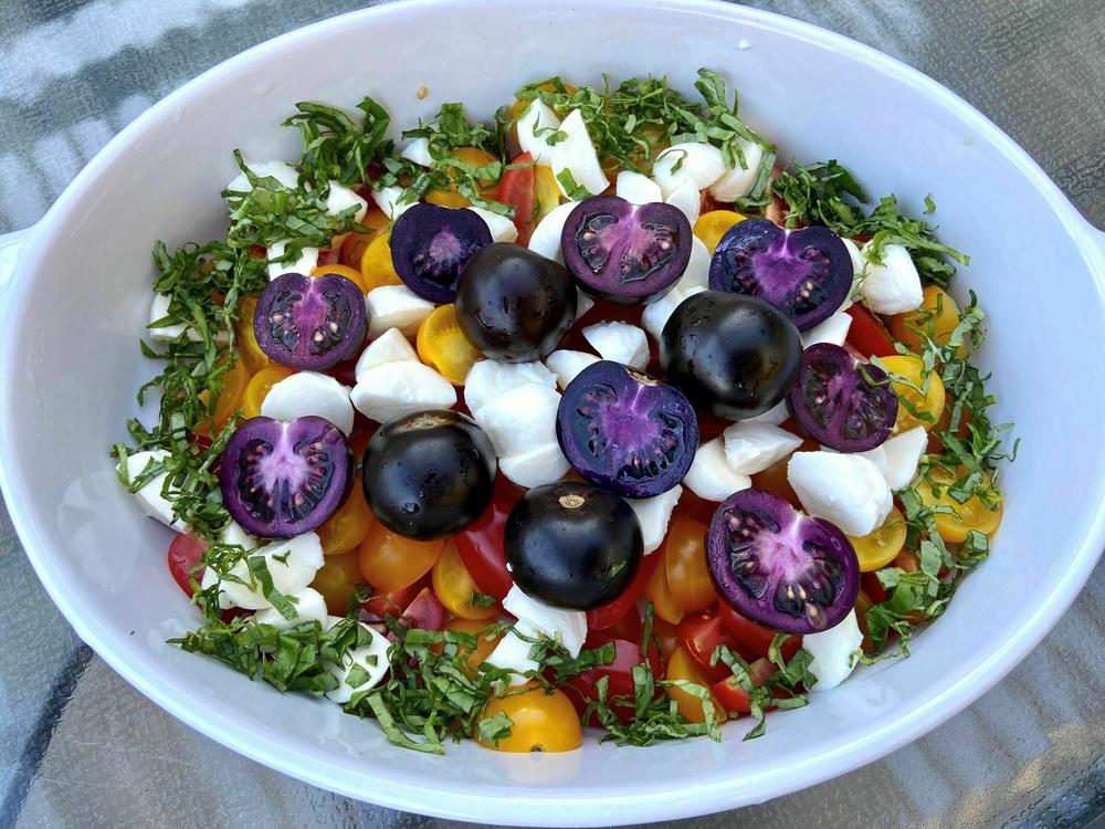 A caprese salad prepared with Purple Tomato.