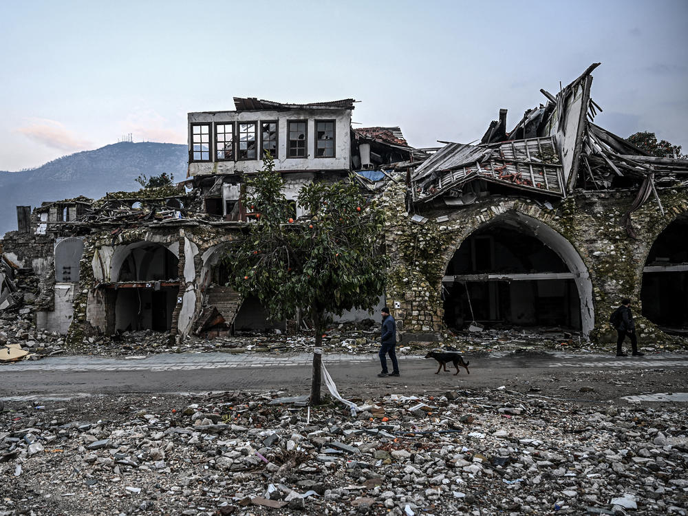 A man and a dog walk next to a damaged building in Antakya, Hatay province, on Monday.