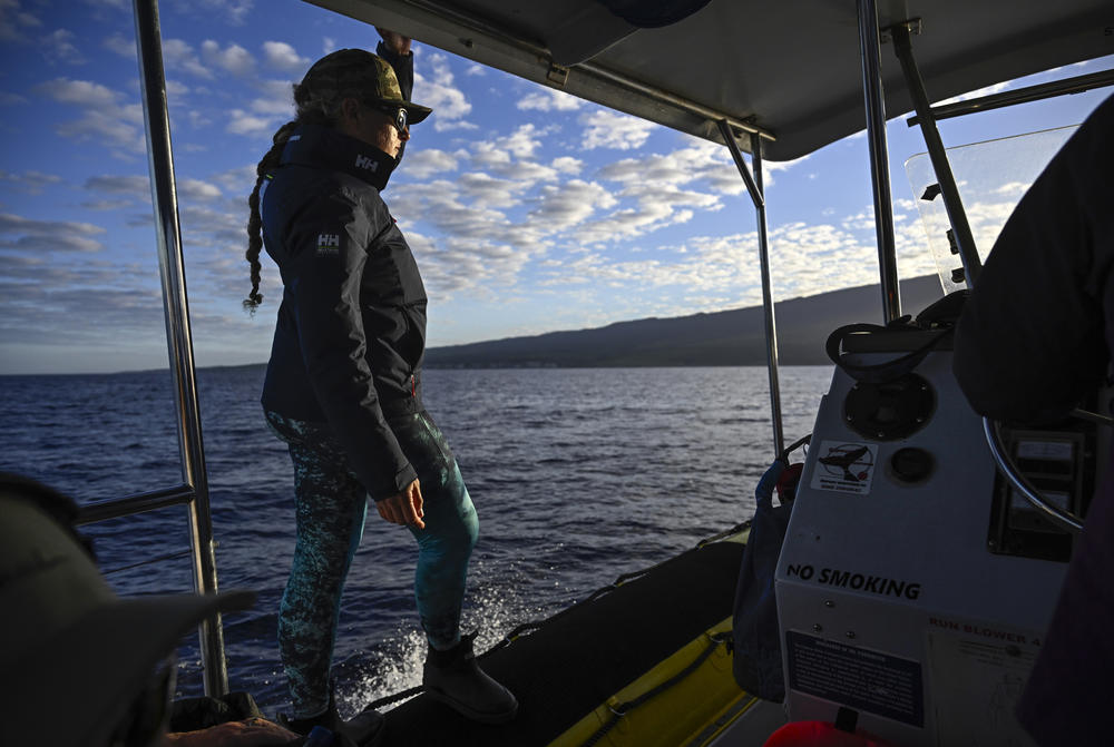 Captain Sarah Hakan of Ultimate Whale Watch tours looks for whales off the coast of Maui.
