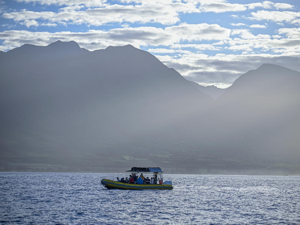 A whale watch tour embarks on a voyage with tourists visiting the island of Maui in January.