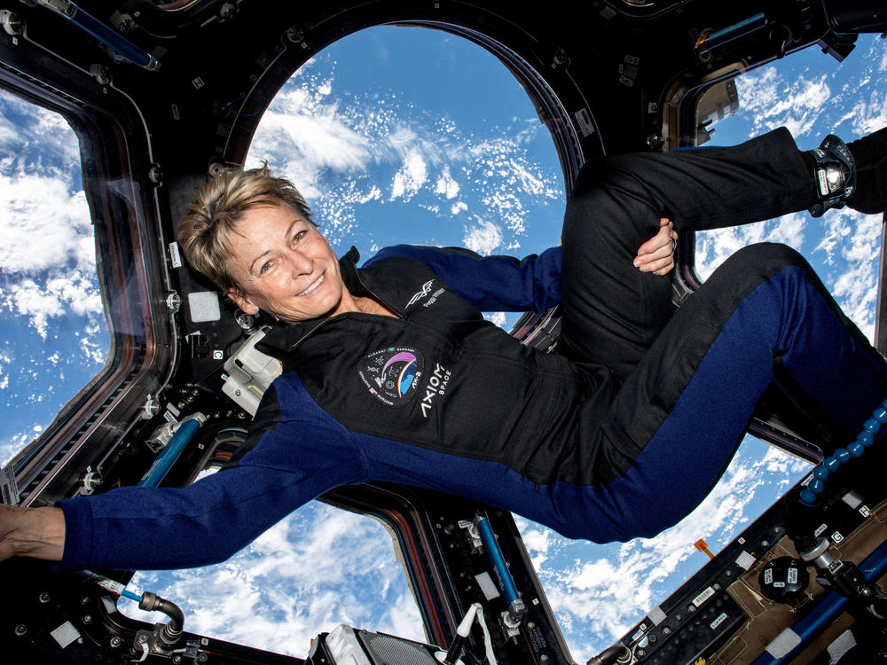 Peggy Whitson in the ISS's cupola.