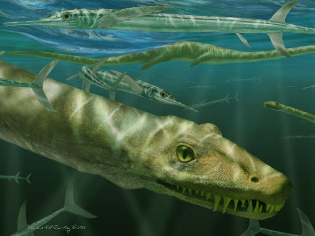 <em>Dinocephalosaurus orientalis</em> swimming alongside prehistoric fish known as Saurichthys.