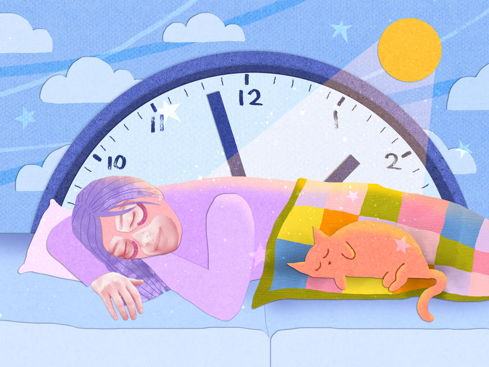  An illustration of a woman and a cat sleeping before a clock.