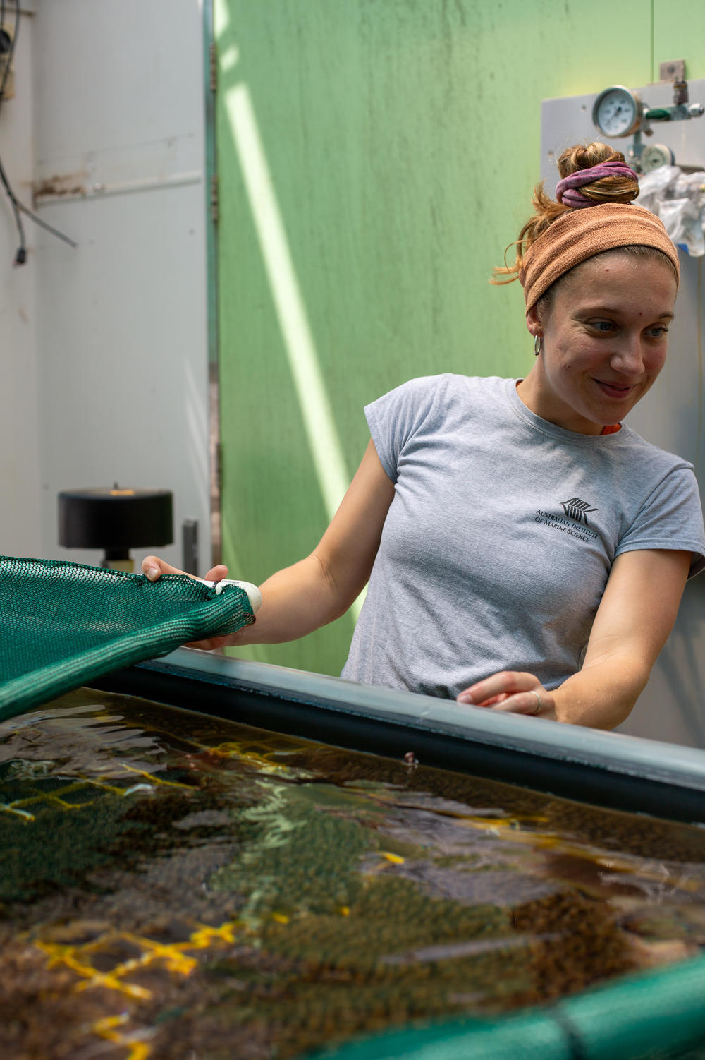 Annika Lamb looks over a tank of coral at AIMS that have been tested for their ability to handle heat.