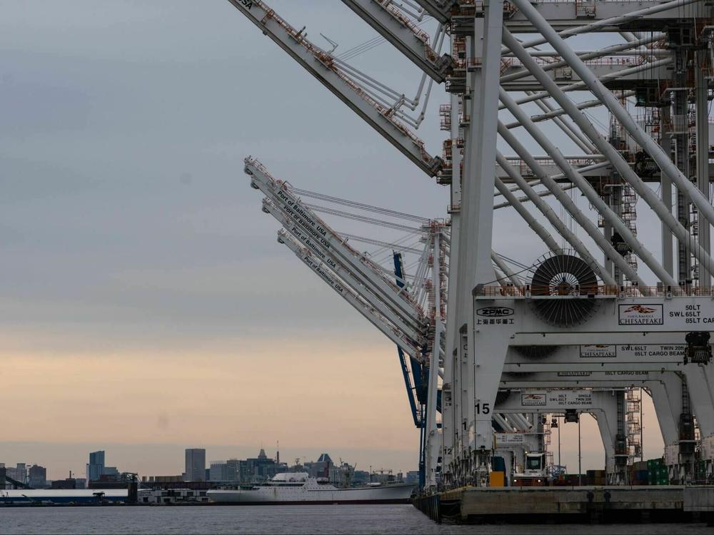 Ship-to-shore cranes sit unused after the Francis Scott Key Bridge collapsed, blocking access to the Port of Baltimore.