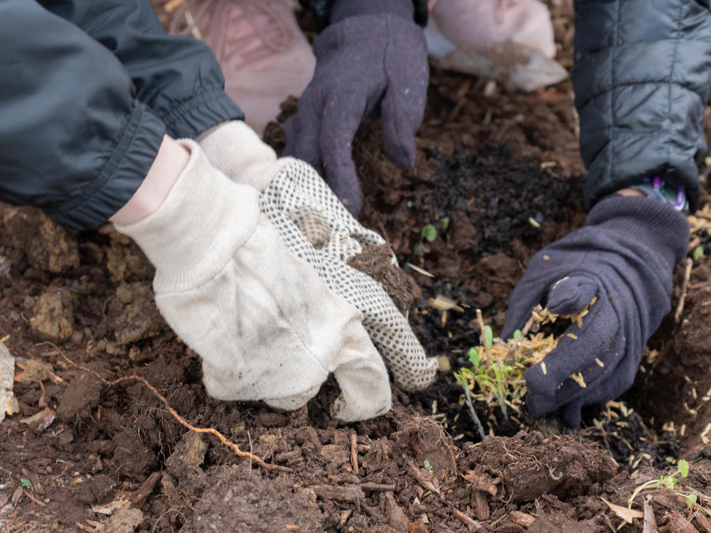 TCNJ students participate in a native planting day on the New Jersey Campus.