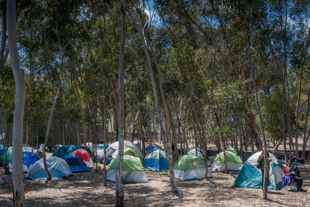 Tents are set up at the UC San Diego encampment on May 5, 2024.