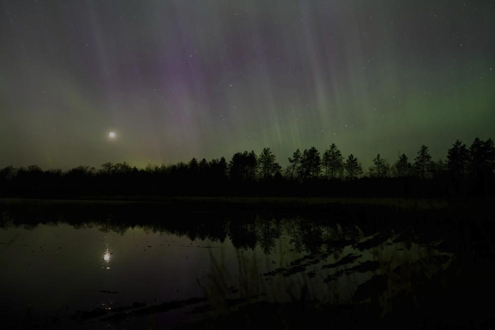 Markville, Minnesota: The northern lights glow in the sky over St. Croix State Forest late Friday, May 10, 2024.