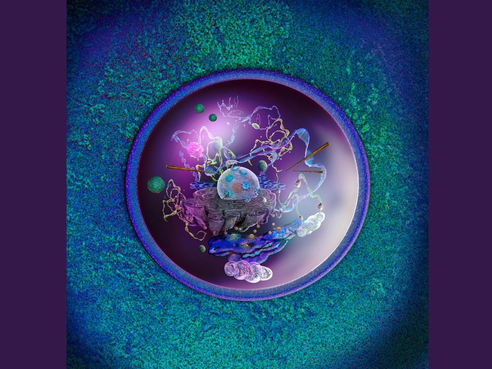 The inside of a cell is a complicated orchestration of interactions between molecules.