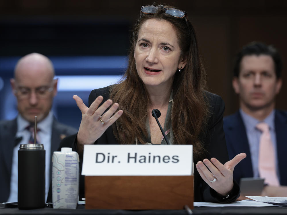 Director of National Intelligence Avril Haines testifying before a Senate hearing earlier this month. During a May 15 hearing, she identified Russia as the greatest foreign threat to this year's U.S. elections.