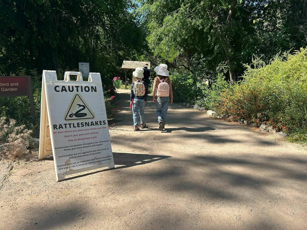 A sign warns visitors about rattlesnakes at the Boyce Thompson Arboretum in Superior, Arizona, on May 11, 2024.