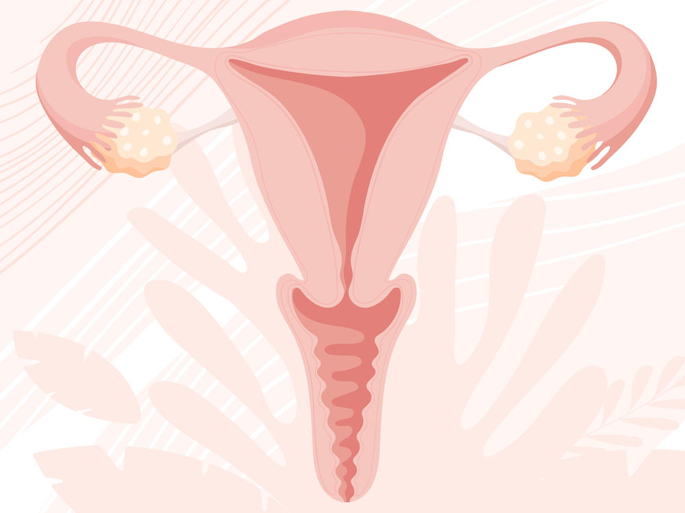 Earlier this year, Virginia designated July as Uterine Fibroids Awareness Month.