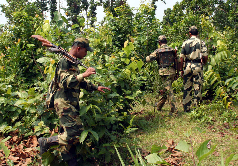 Indian paramilitary soldiers patrol inside a Maoist stronghold in the jungle bordering the village of Belpahari, some 120 miles west of Kolkata, India, on April 8, 2010.