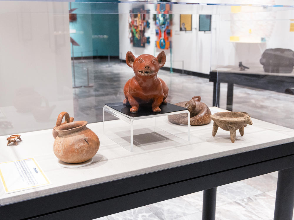 A display of some of the pre-Columbian antiquities, which comprise the 