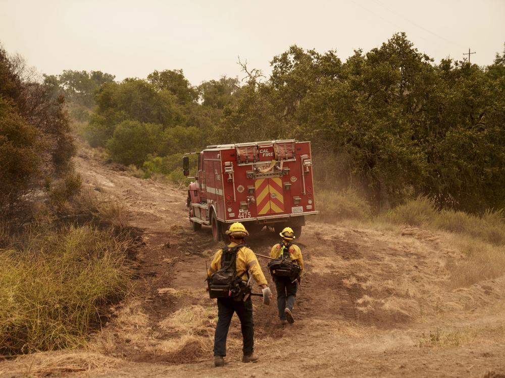 Firefighters work against the advancing Lake Fire in Los Olivos, Calif., on Saturday, July 6, 2024.