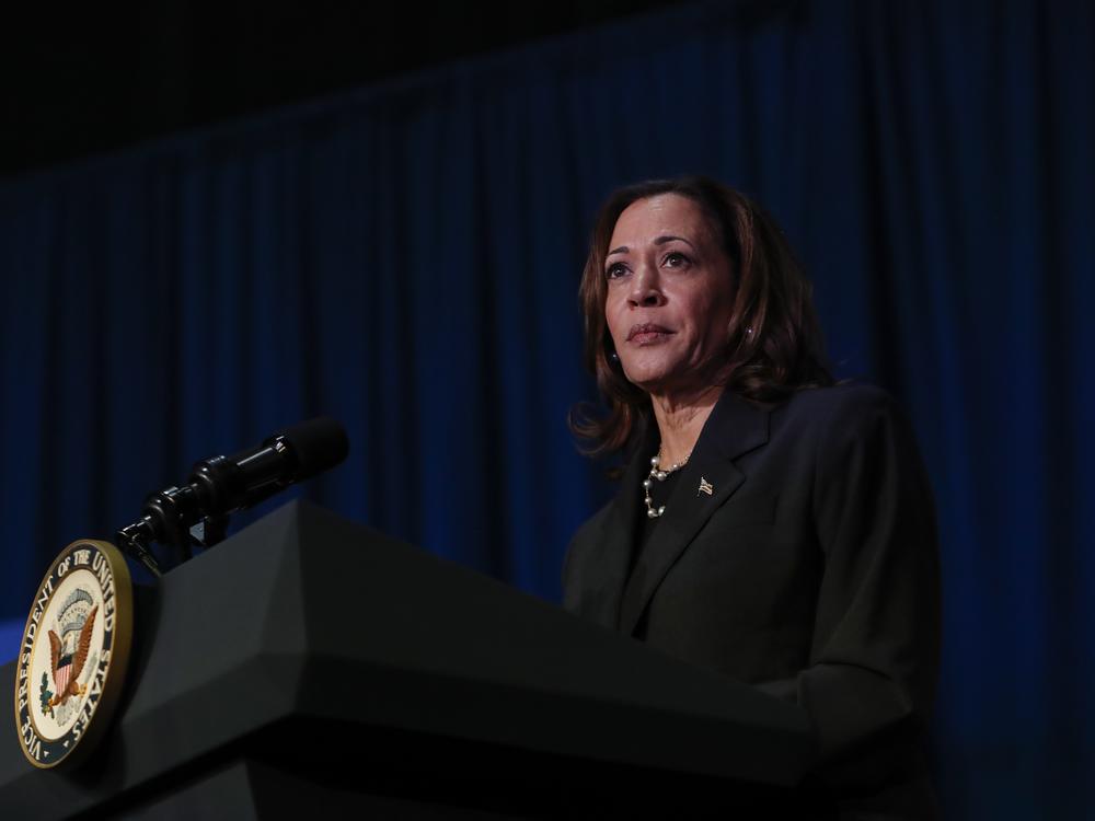 U.S. Vice President Kamala Harris makes remarks before a moderated conversation with former Trump administration national security official Olivia Troye and former Republican voter Amanda Stratton on July 17, 2024 in Kalamazoo, Michigan.