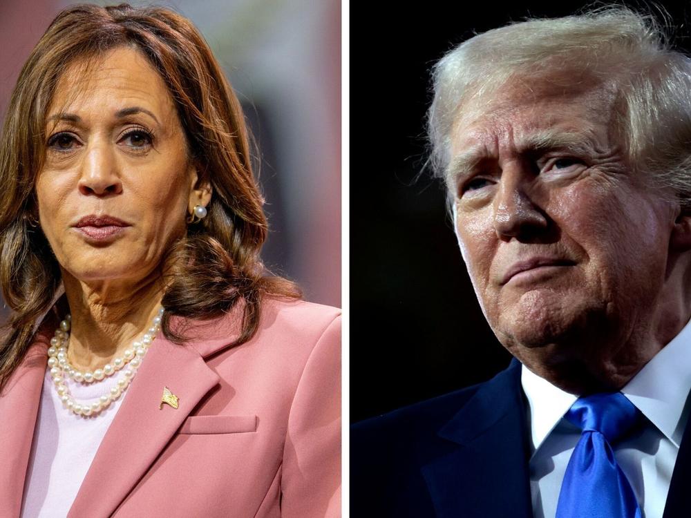 As calls grow for Biden to leave the 2024 race, polling shows Harris and Trump statistically tied in a hypothetical matchup.