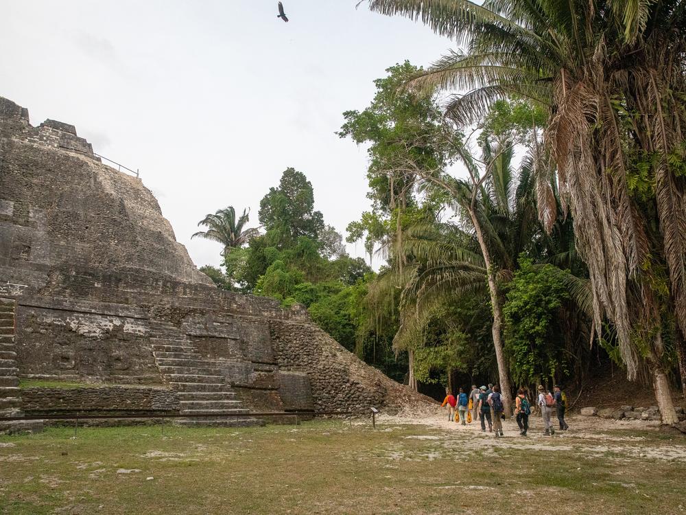 The Mayan High Temple stands tall within the Lamanai Archaeological Reserve. Once night falls, the air fills with a rich diversity of neotropical bats.