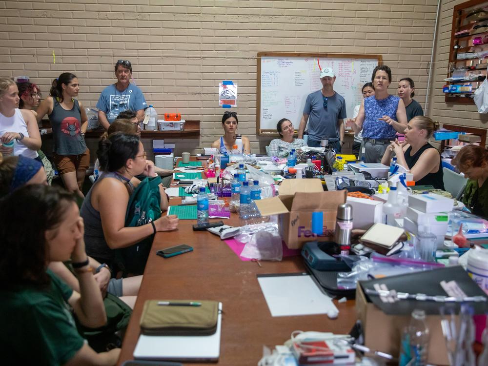 Nancy Simmons, a curator of mammalogy at the American Museum of Natural History (standing on the right in the blue shirt), leads an orientation for the researchers and support crew at this year’s Bat-a-thon.<br>