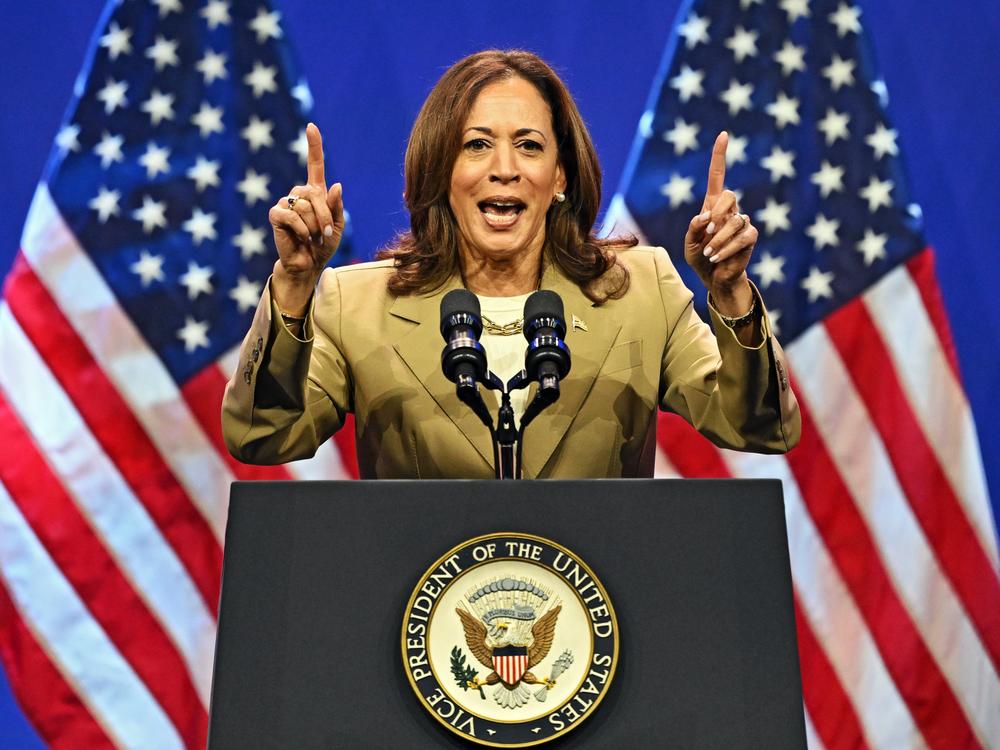 Democratic lawmakers, organizers, and potential rivals rallied around Vice President Harris’ candidacy for president.