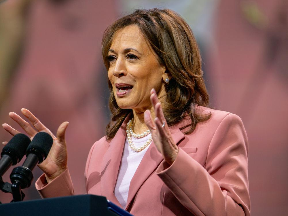 Vice President Kamala Harris speaks to members of the Alpha Kappa Alpha Sorority at the Kay Bailey Hutchison Convention Center on July 10 in Dallas.