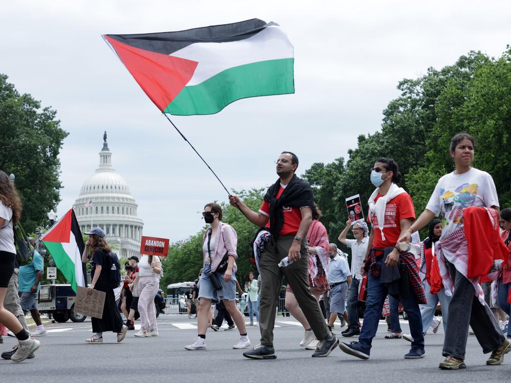 Activists participate in a pro-Palestinian protest near the U.S. Capitol on Wednesday. There were multiple demonstrations near the Capitol to protest Israeli Prime Minister Benjamin Netanyahu's visit to Washington.