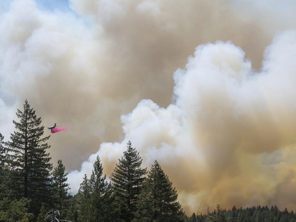 A plane drops fire retardant on the Park Fire near Forest Ranch, Calif., Sunday, July 28, 2024. Smoke from the fire is causing air quality issues across the Northwest and parts of Canada.
