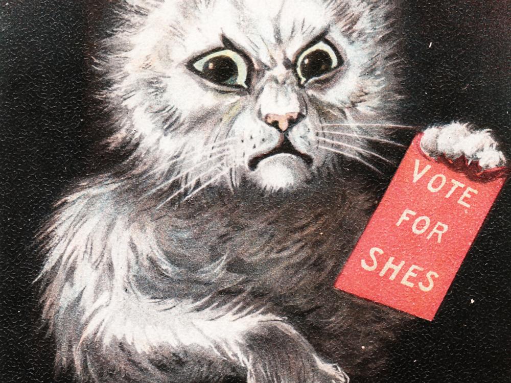 Cats were used as a symbol of anti-suffrage propaganda, but reclaimed by some suffragists. A century later, some voters see Vance's 