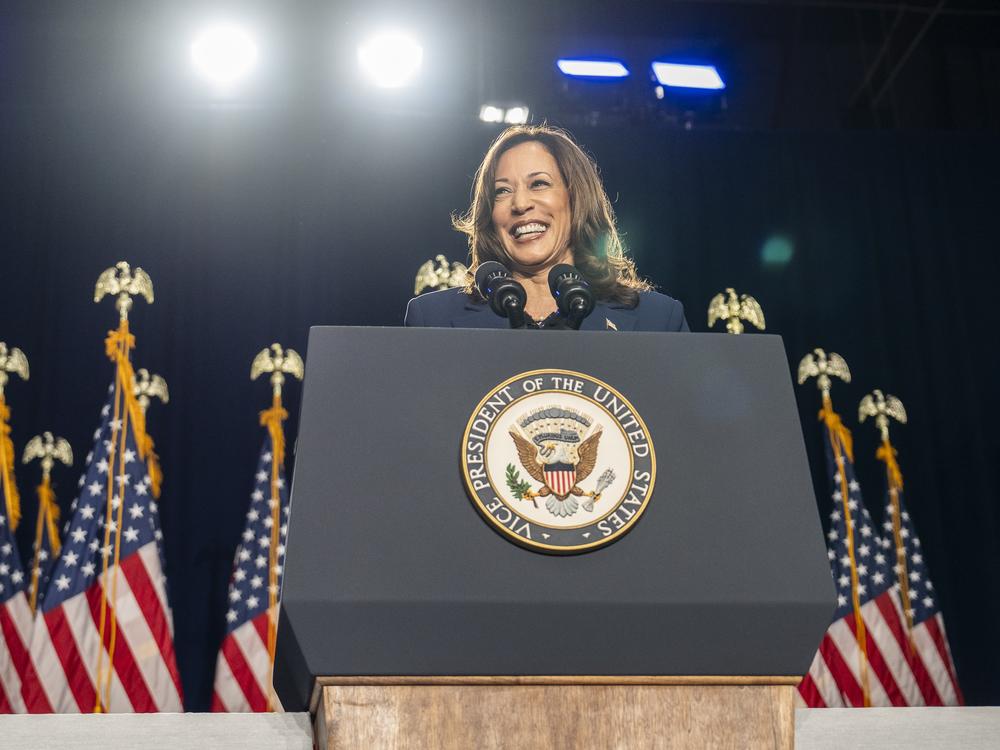 Vice President Harris speaks at a campaign event on July 23, 2024 in Milwaukee.