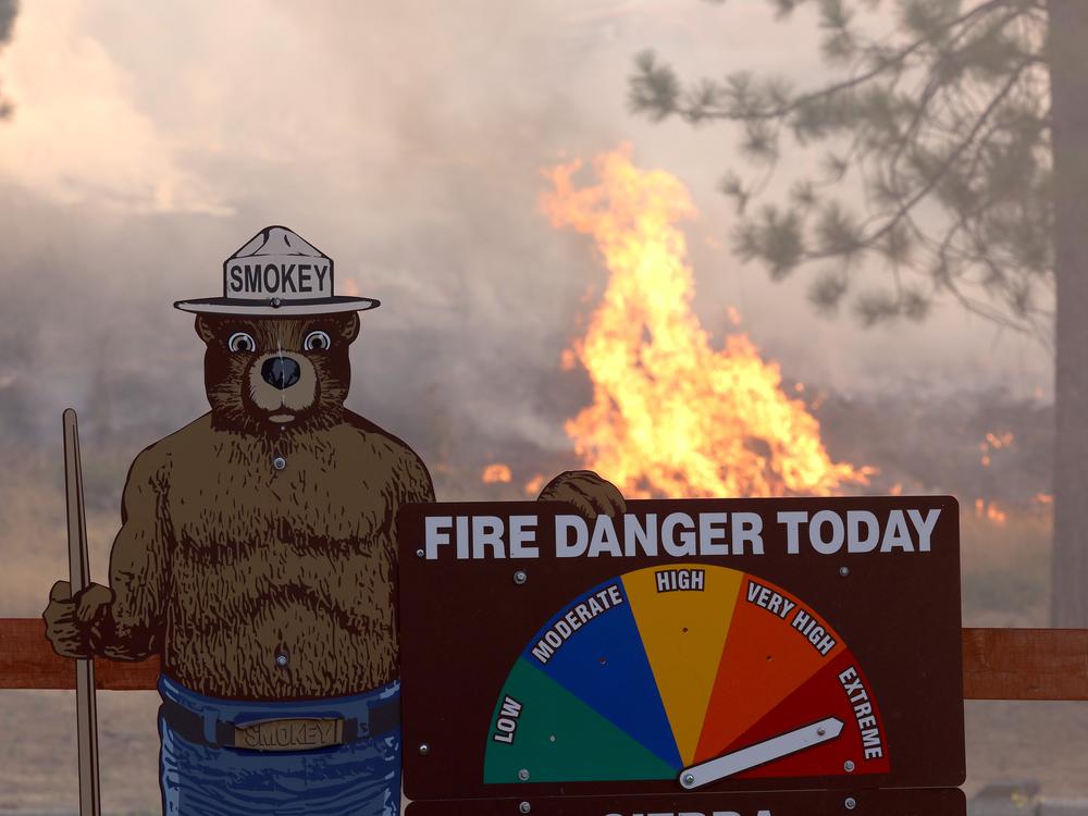 Fire burns near a Smokey the Bear fire warning sign as the Oak Fire burns through the area on July 24, 2022 near Jerseydale, California.