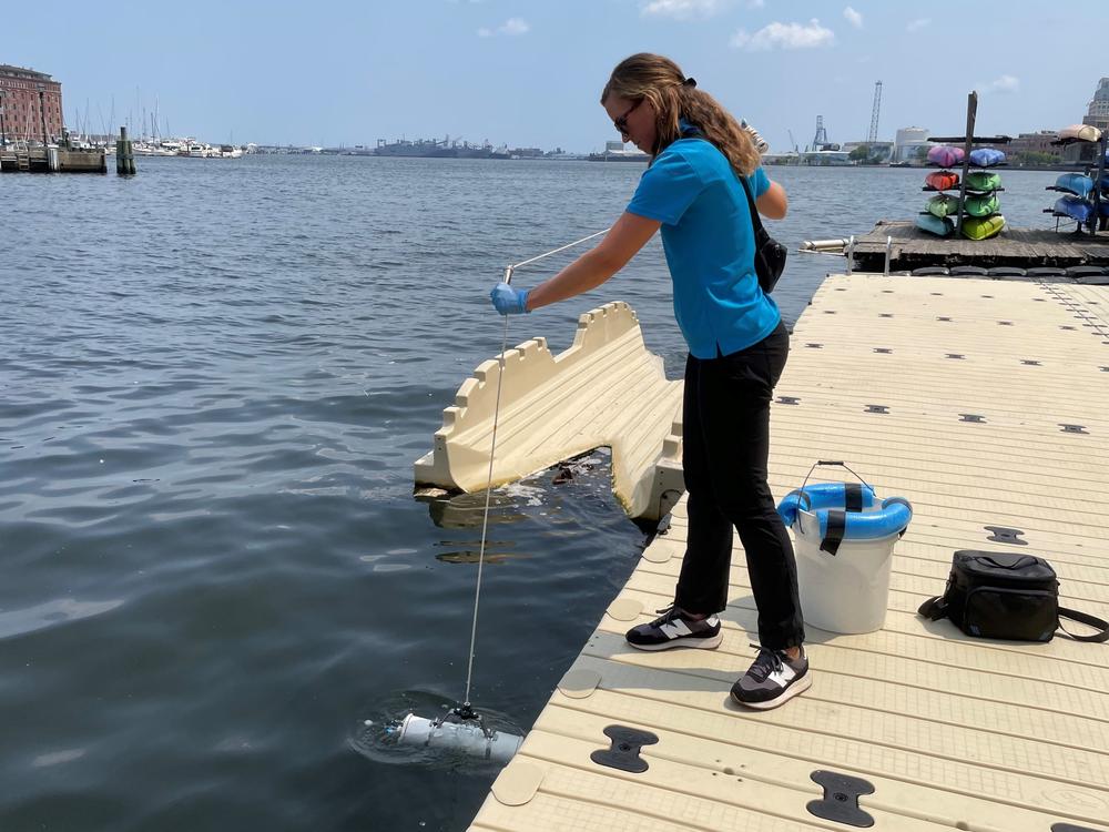  Allison Blood, staff scientist at the Waterfront Partnership, takes a water sample from Baltimore's harbor.