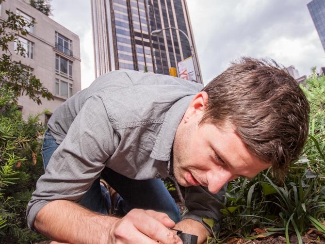  Clint Penick uses baits to attract ants living on the streets of New York City.<br>