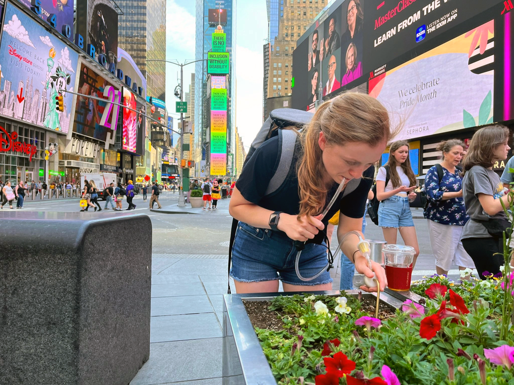  Samantha Kennett collects ManhattAnts that are managing to live in a planter in Times Square.<br>