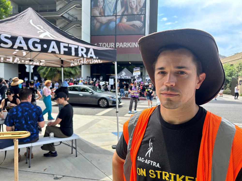 Seth Allyn Austin has performed stunts and voice work on various Marvel Spider-Man video games. He picketed at the Warner Bros. Studios in Burbank, Calif., in early August. 