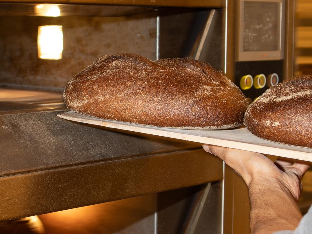 The loaves pulled out of the oven at the Bread Lab are the culmination of years of work by scientists-cum-bakers and a group of researchers obsessed with finding ways to make wheat more resilient to climate change — and more delicious in its complete, rich, whole-wheat form.