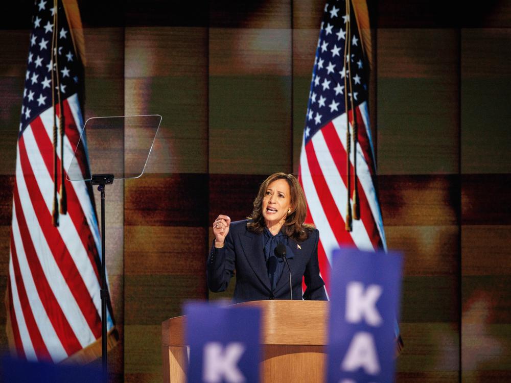 U.S. Vice President Harris speaks at the 2024 Democratic National Convention at the United Center on Aug. 22 in Chicago.