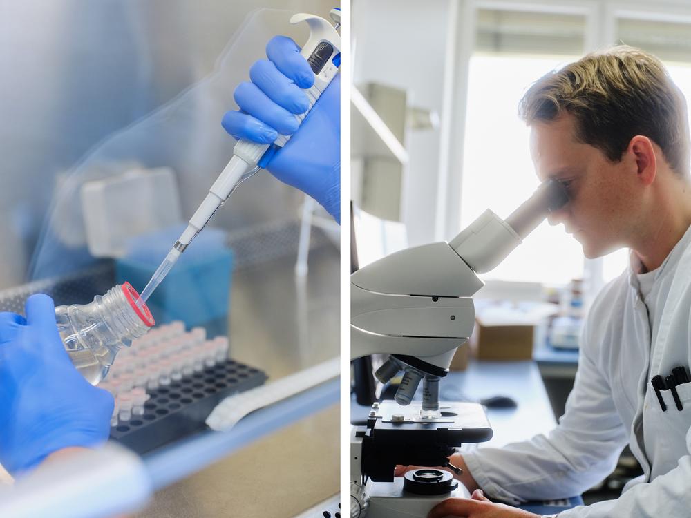 Thijs van Klaveren, a bioprocess engineer at Planet A Foods, checks samples at the company's laboratory, which specializes in researching cocoa butter and fat alternatives.