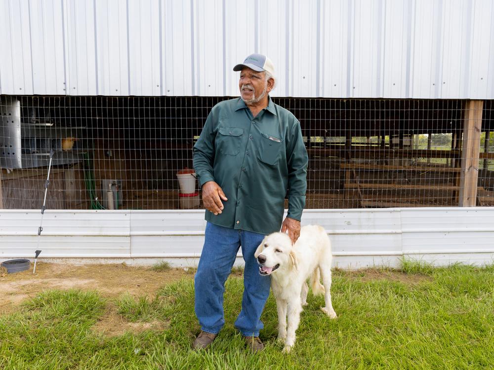 Hilery Gobert and his livestock guardian dog, Bella, at Driftwood Farm in Iowa, Louisiana. Bella protects the farm's animals from predators like coyotes.