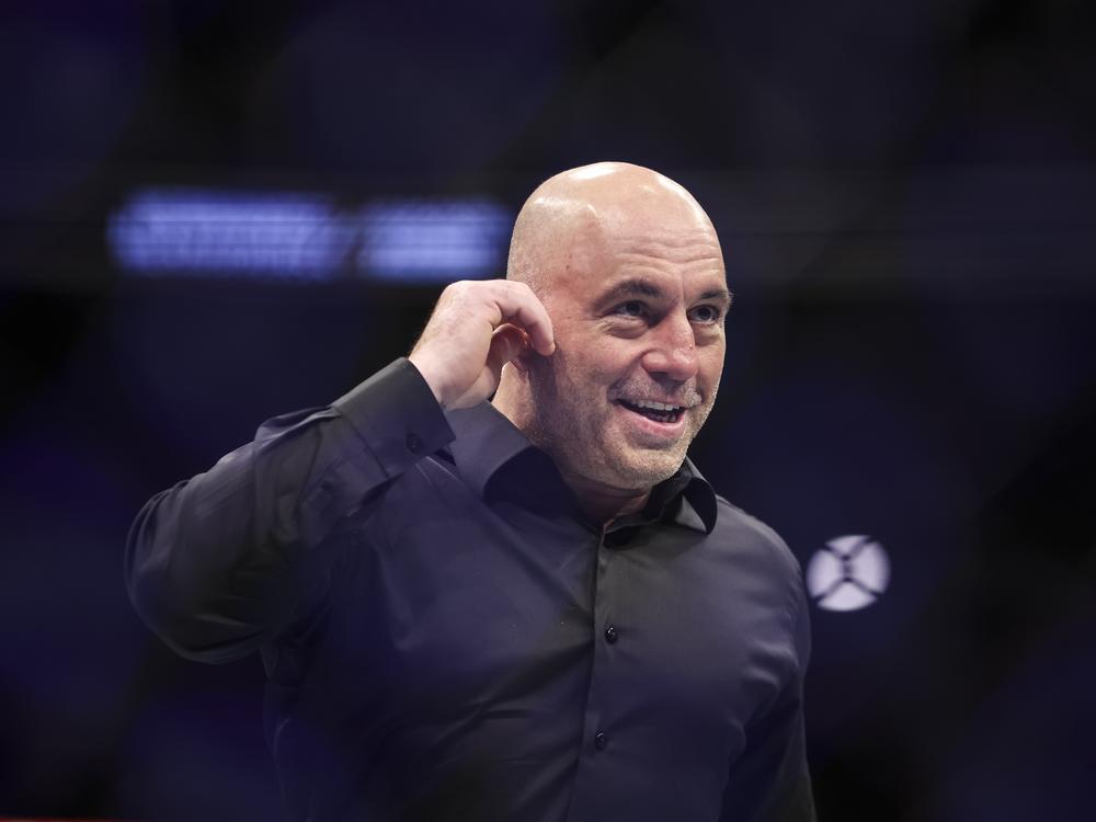 Joe Rogan, a podcaster with 14.5 million followers and an audience that's 81% male, has talked about the carnivore diet on his show. The carnivore diet typically involves eating mostly red meat, poultry, pork, seafood, dairy and eggs. 