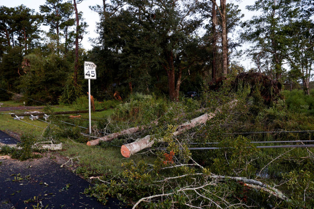 Power lines and fallen trees lie on the ground on Sept. 27 amid damage from Hurricane Helene in Crawfordville, Florida. Photo by Marco Bello/Reuters