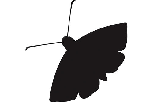The Moth Virtual StorySLAM: Silenced