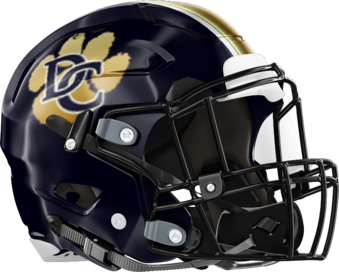 Douglas County Helmet