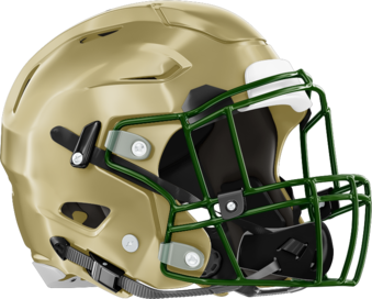 Bulloch Academy Helmet