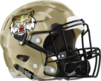 Flint River Academy Wildcats Helmet