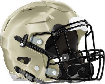 Pelham Helmet