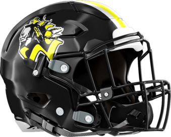 Skipstone Academy Warriors Helmet